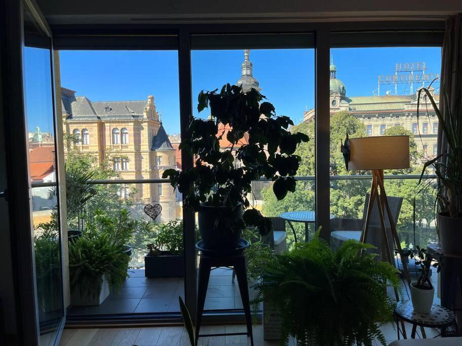 Apartment In Historical Center With Park View 플젠 외부 사진