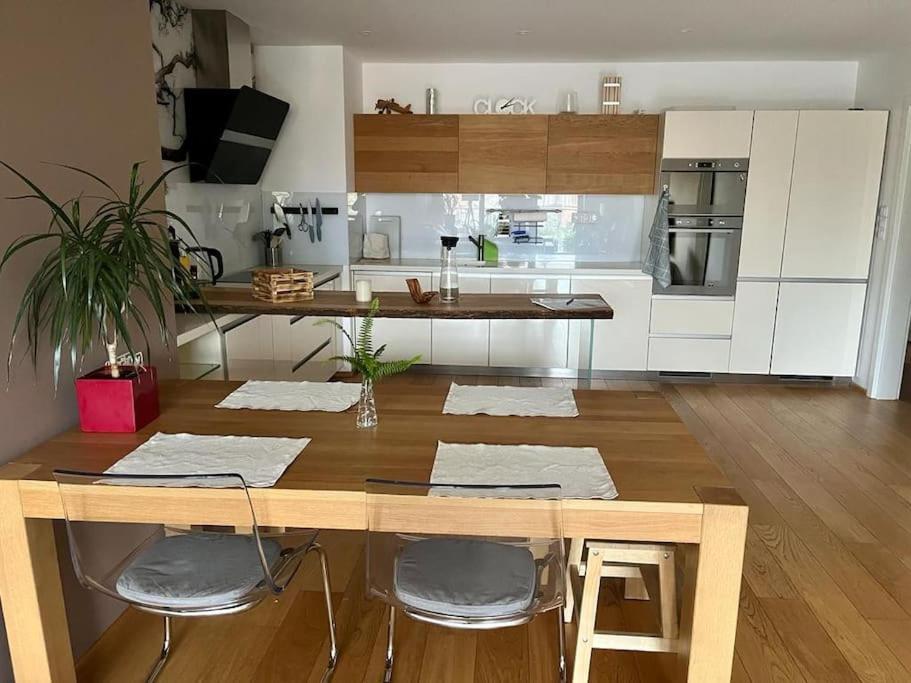 Apartment In Historical Center With Park View 플젠 외부 사진
