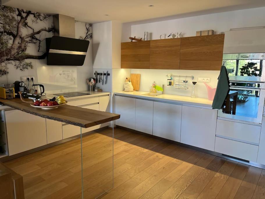 Apartment In Historical Center With Park View 플젠 외부 사진