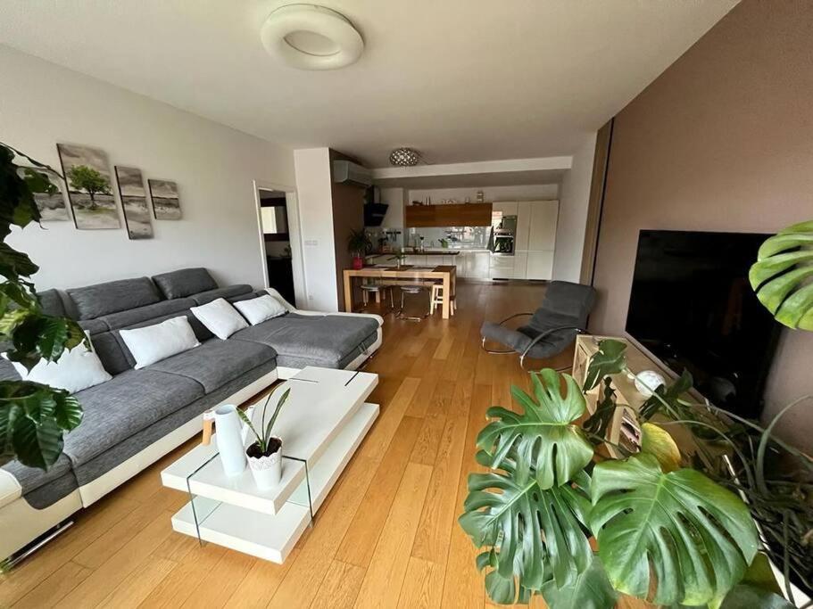 Apartment In Historical Center With Park View 플젠 외부 사진