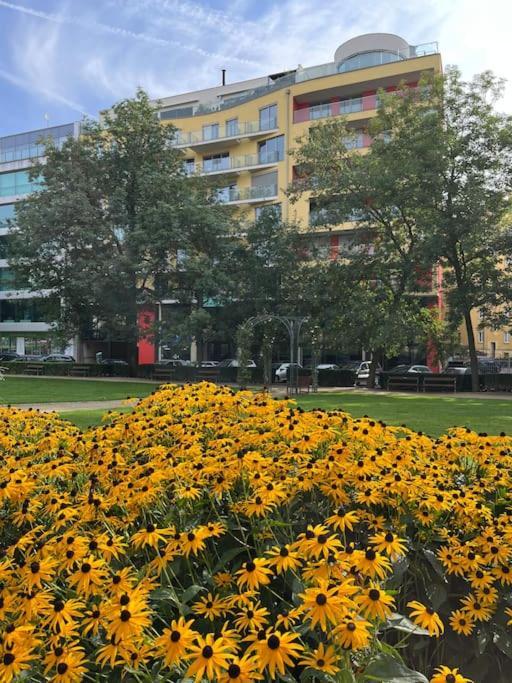 Apartment In Historical Center With Park View 플젠 외부 사진