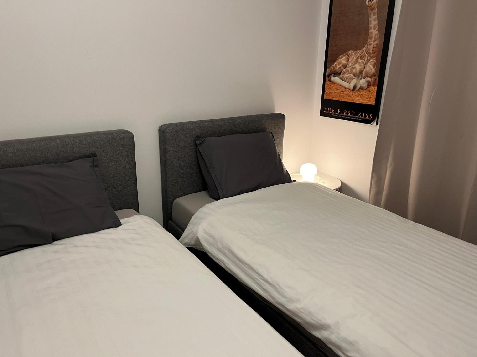 Apartment In Historical Center With Park View 플젠 외부 사진